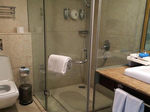 SkyCity Hotel Gurgaon : photo 9 de la chambre executive double or twin room with 15 min head or foot massage ,2hrs conference meeting room , free night club !(subject to availability)