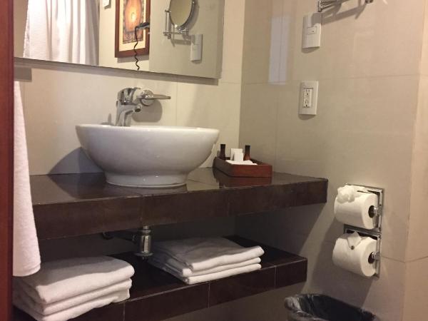 Hotel Fortin Plaza : photo 7 de la chambre suite junior exécutive