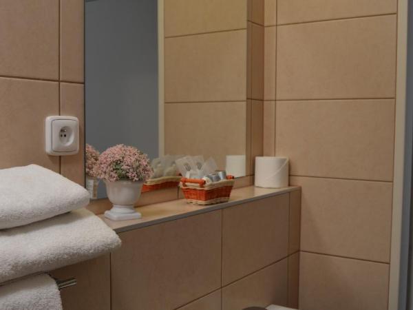 HOTEL ARÉNA : photo 10 de la chambre chambre simple avec salle de bains 