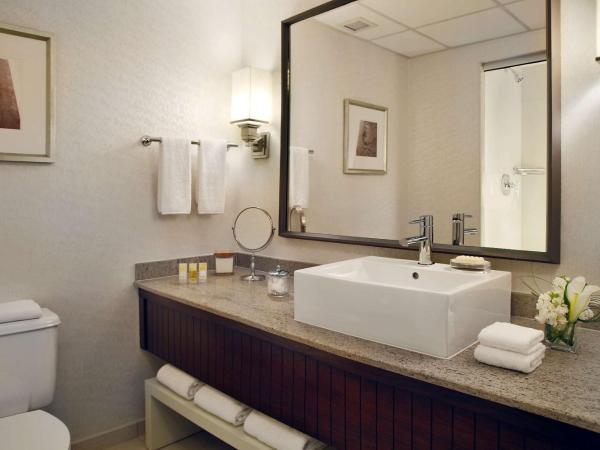 Hyatt Regency Saint Louis at The Arch : photo 2 de la chambre chambre lit king-size deluxe avec vue