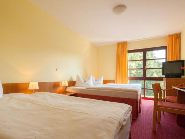 Kim Hotel Im Park : photo 2 de la chambre chambre triple