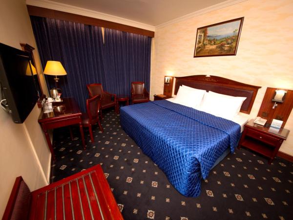 Mount Royal Hotel : photo 2 de la chambre chambre simple deluxe