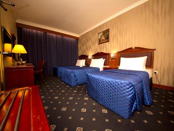 Mount Royal Hotel : photo 4 de la chambre chambre triple deluxe