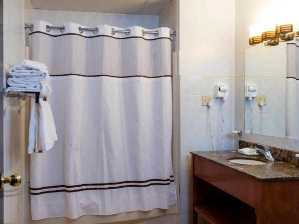 Broadway Plaza Hotel : photo 8 de la chambre chambre supérieure avec 2 lits doubles