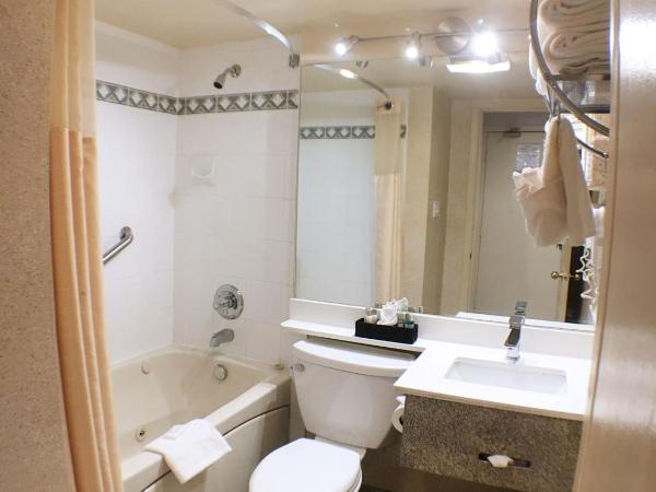 Divya Sutra Suites on Robson Downtown Vancouver : photo 3 de la chambre suite penthouse