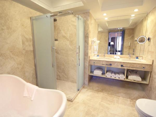 Akgun Istanbul Hotel : photo 3 de la chambre suite junior