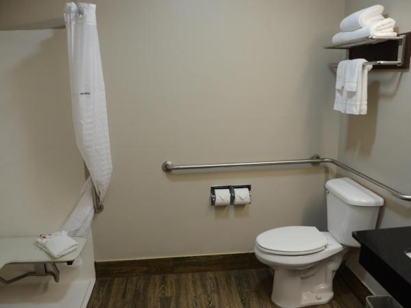 Super 8 by Wyndham Louisville/Expo Center : photo 7 de la chambre chambre lit king-size - accessible aux personnes à mobilité réduite - non-fumeurs