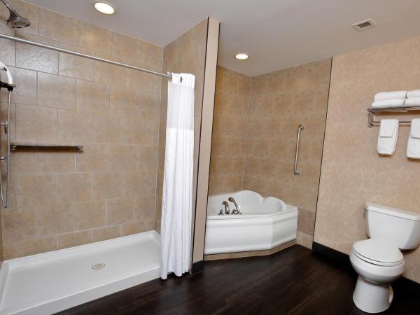 Best Western Blairmore : photo 2 de la chambre suite junior lit king-size avec canapé-lit – non-fumeurs