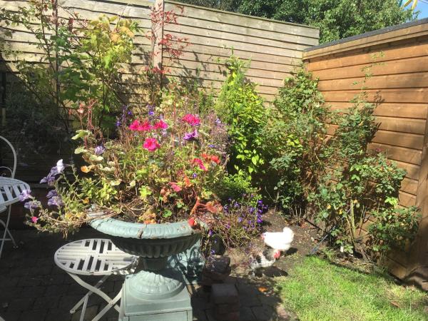 Brackenberry : photo 2 de la chambre chambre double deluxe