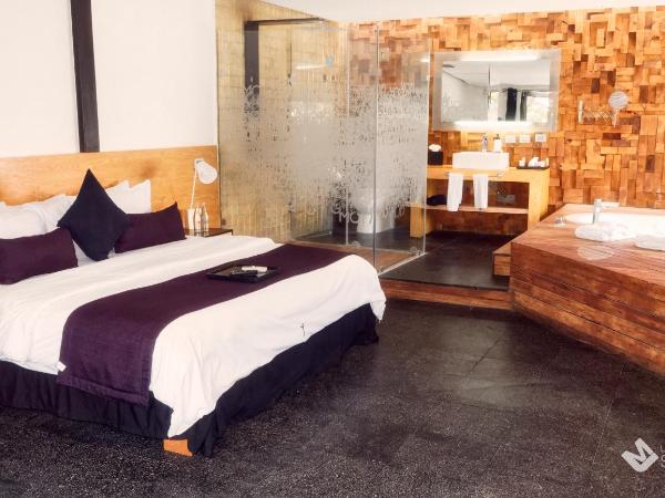 Hotel Boutique MO17 : photo 4 de la chambre grande suite