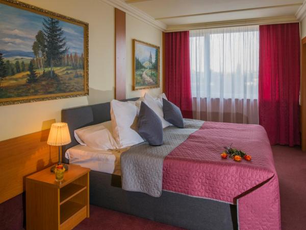 TOP HOTEL Praha : photo 2 de la chambre suite affaires avec parking gratuit et bien-Être