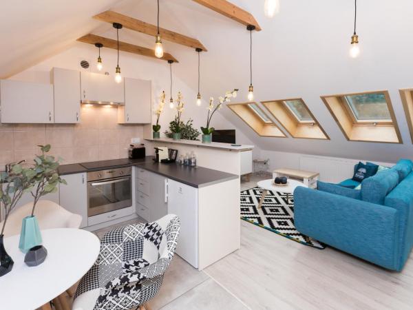 1898 Parkside Boutique Residence : photo 6 de la chambre appartement loft 2 pièces