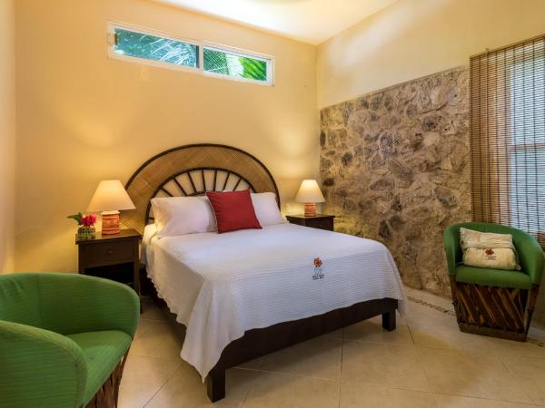 Villas El Encanto Cozumel : photo 10 de la chambre appartement 1 chambre