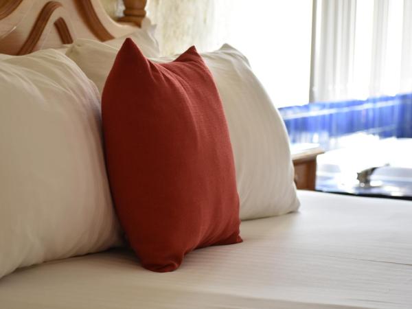 Hosteria Las Quintas Hotel Restaurante Bar : photo 3 de la chambre suite lit king-size avec baignoire spa