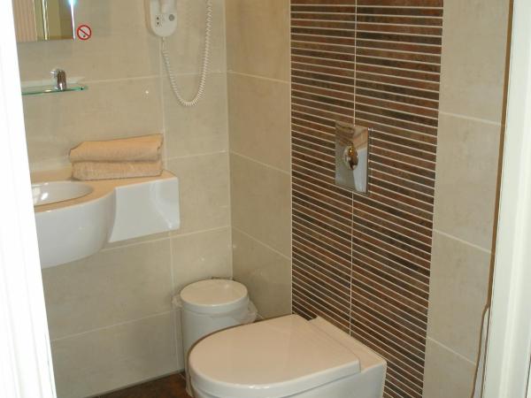 Hotel Excelsior : photo 5 de la chambre chambre triple standard