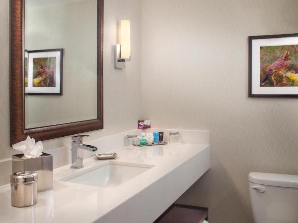 Crowne Plaza Phoenix Airport - PHX, an IHG Hotel : photo 1 de la chambre suite lit king-size exécutive