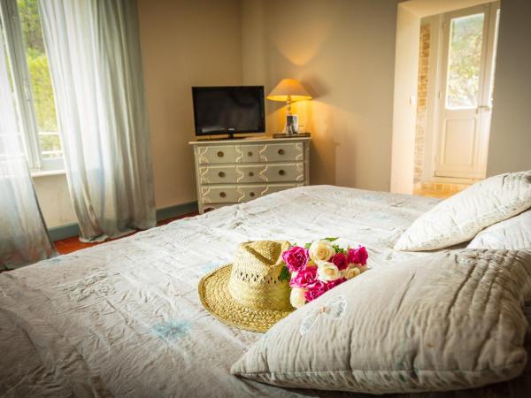 Château le Bouïs : photo 5 de la chambre suite - vue sur parc