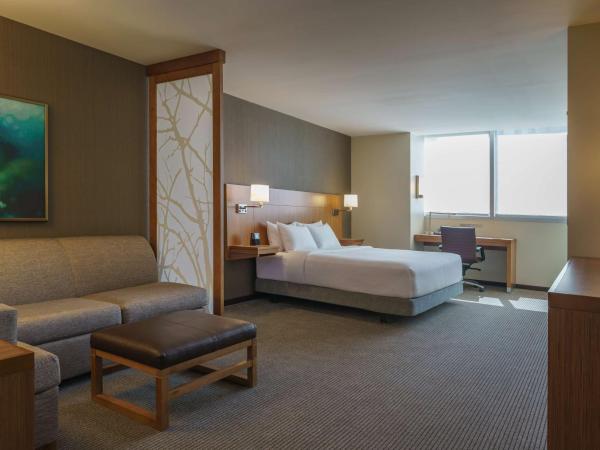 Hyatt Place Houston Galleria : photo 2 de la chambre suite 1 chambre avec canapé-lit