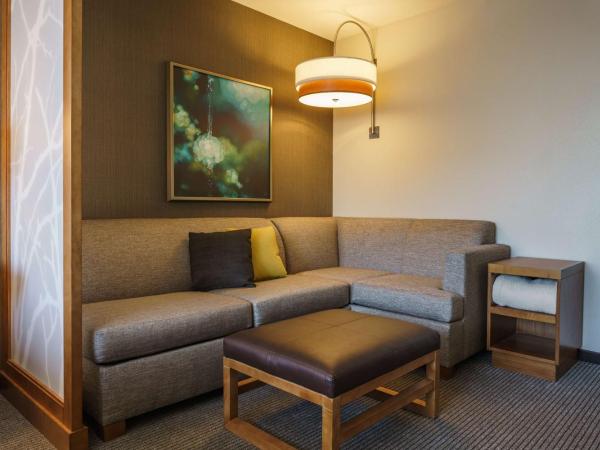 Hyatt Place Houston Galleria : photo 2 de la chambre chambre lit king-size avec canapé-lit