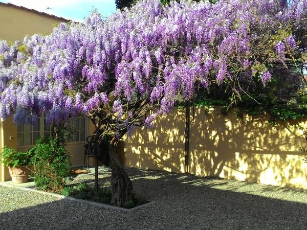 Villino Fiorentino : photo 2 de la chambre chambre double - vue sur jardin - annexe