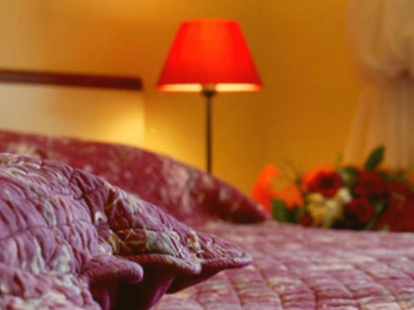 Hôtel Maya : photo 1 de la chambre chambre double standard