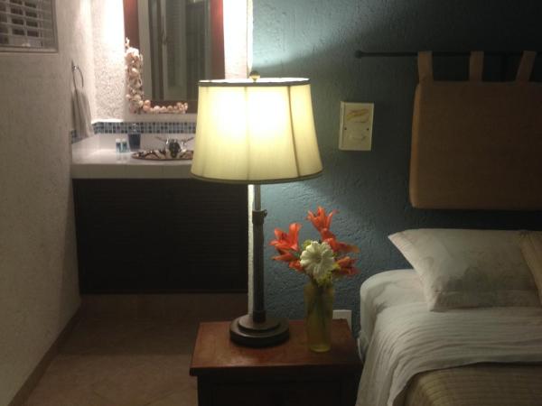 Villa Escondida Guest House Cozumel Downtown : photo 7 de la chambre chambre lit king-size