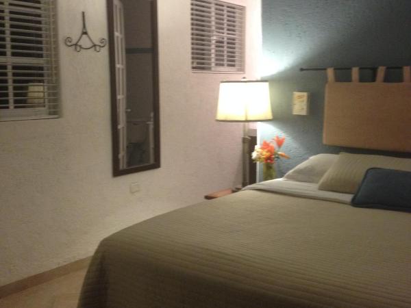 Villa Escondida Guest House Cozumel Downtown : photo 5 de la chambre chambre lit king-size