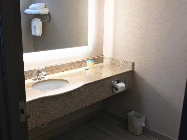 Wingate by Wyndham, Universal Studios - Free Theme Park Shuttle : photo 4 de la chambre suite studio lit king-size avec canapé-lit – non-fumeurs