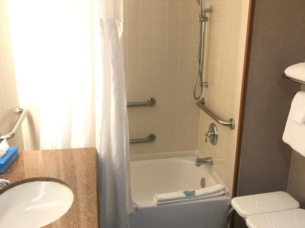 Wingate by Wyndham, Universal Studios - Free Theme Park Shuttle : photo 4 de la chambre chambre lit king-size pour personnes à mobilité réduite/malentendantes - non-fumeurs