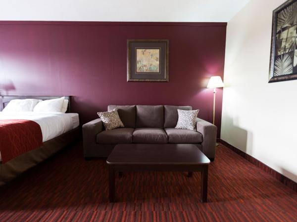 Argyll Plaza Hotel : photo 5 de la chambre chambre 2 lits queen-size avec kitchenette