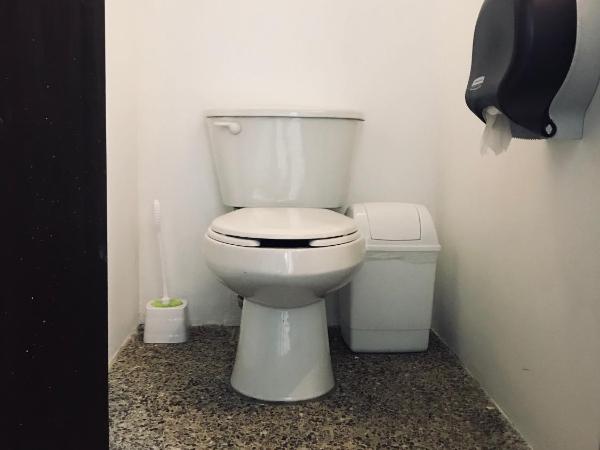 Los Muertos Hostal : photo 8 de la chambre lit simple dans dortoir de 8 lits - frida