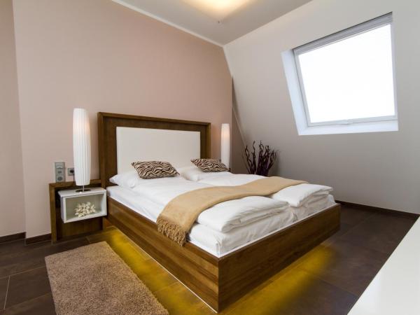 BoardingHouse Mannheim : photo 4 de la chambre penthouse