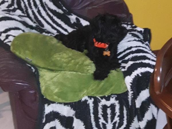 Home Baan Chiang Mai : photo 5 de la chambre maison de vacances