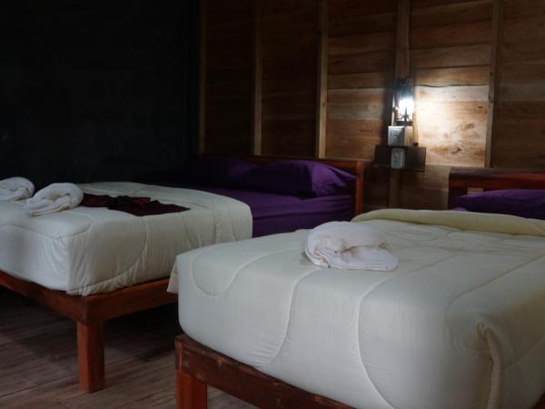 Mada Lanta Mai Keaw : photo 2 de la chambre chambre triple standard