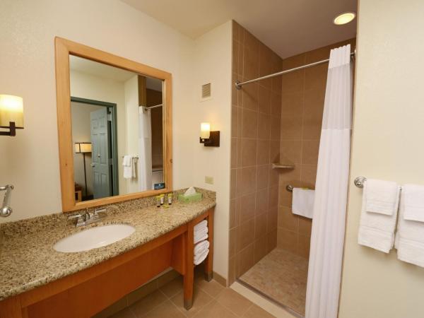 Great Wolf Lodge Colorado Springs : photo 1 de la chambre suite lit queen-size