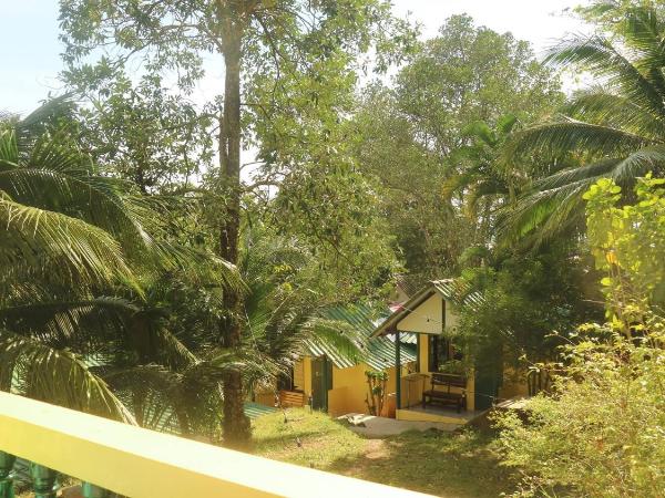 Island Lodge : photo 5 de la chambre chambre lit queen-size deluxe