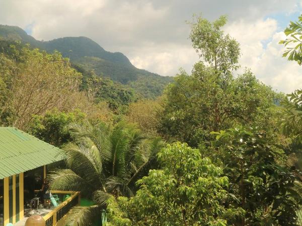 Island Lodge : photo 10 de la chambre chambre lit queen-size deluxe