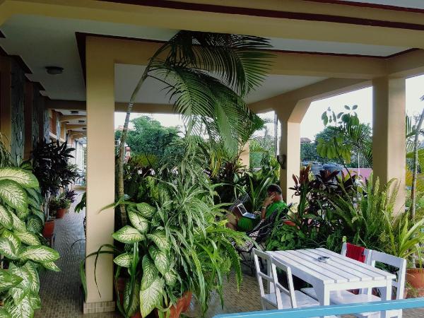 Nanohana Lodge : photo 8 de la chambre chambre double - vue sur montagne