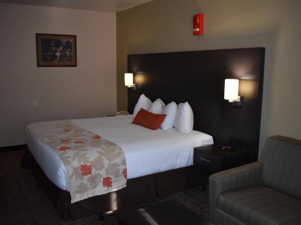 Hawthorn Suites Las Vegas : photo 4 de la chambre chambre lit king-size - non-fumeurs