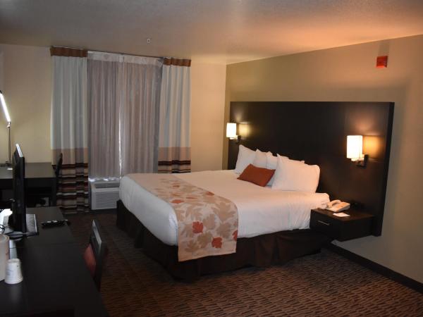 Hawthorn Suites Las Vegas : photo 4 de la chambre chambre lit king-size - accessible aux personnes à mobilité réduite - non-fumeurs