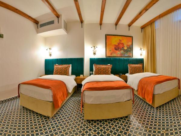 Istanbul Life Hotel : photo 1 de la chambre suite mahsen (hébergement en sous-sol)