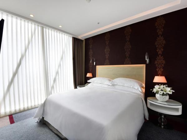 Burgu Arjaan by Rotana Istanbul Asia : photo 5 de la chambre suite 1 chambre - vue sur ville