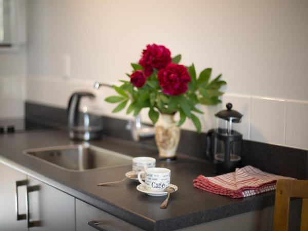 Argyle on the Park : photo 4 de la chambre studio lit king-size