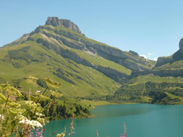 Au Cheval Blanc - appartements et chambres d'hôtes : photo 4 de la chambre appartement avec vue sur la montagne