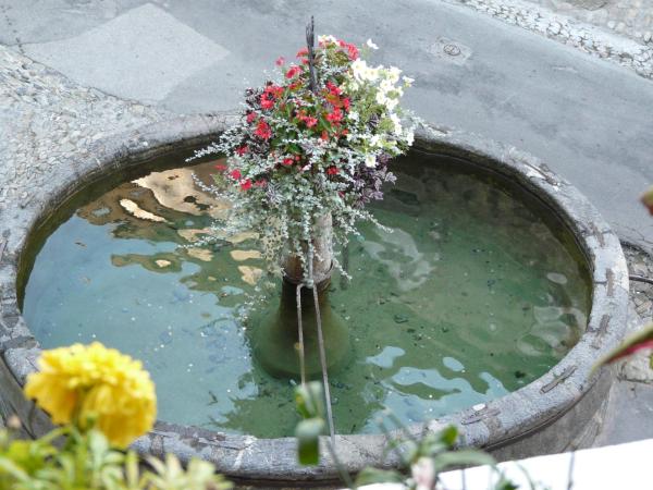 Au Cheval Blanc - appartements et chambres d'hôtes : photo 9 de la chambre appartement avec vue sur la montagne