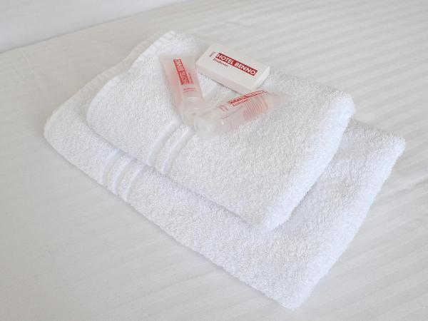 Hotel Benno : photo 1 de la chambre chambre simple avec salle de bains commune