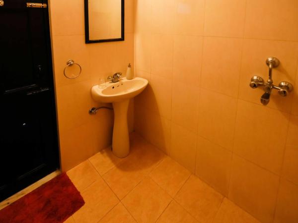 Silver Moon Haveli : photo 5 de la chambre studio