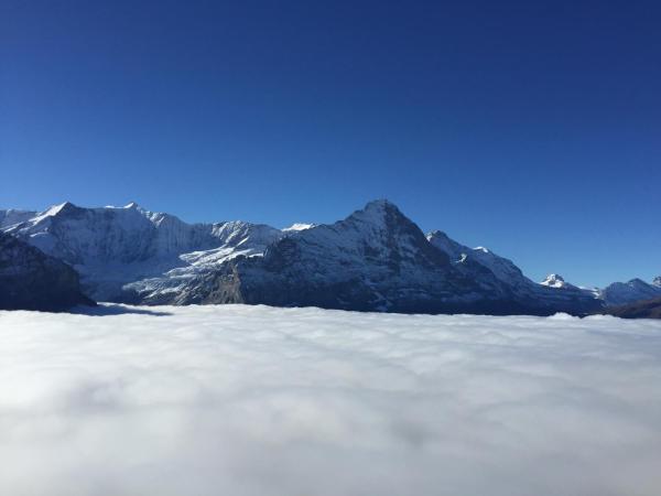 Berggasthaus First - Only Accessible by Cable Car : photo 3 de la chambre dortoir (8 personnes)