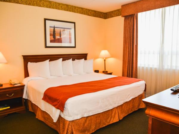 Country Inn & Suites by Radisson, London South, ON : photo 1 de la chambre chambre lit king-size