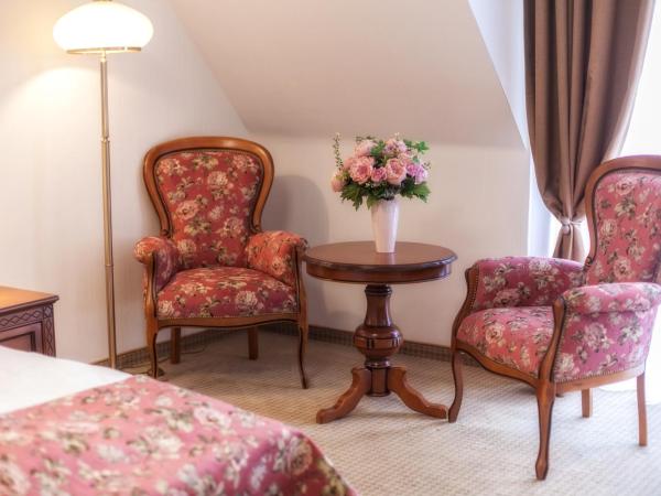 Hotel Paryski Art & Business Zakopane - Basen Jacuzzi Sauna Małpi Gaj : photo 7 de la chambre chambre double supérieure - vue sur montagne